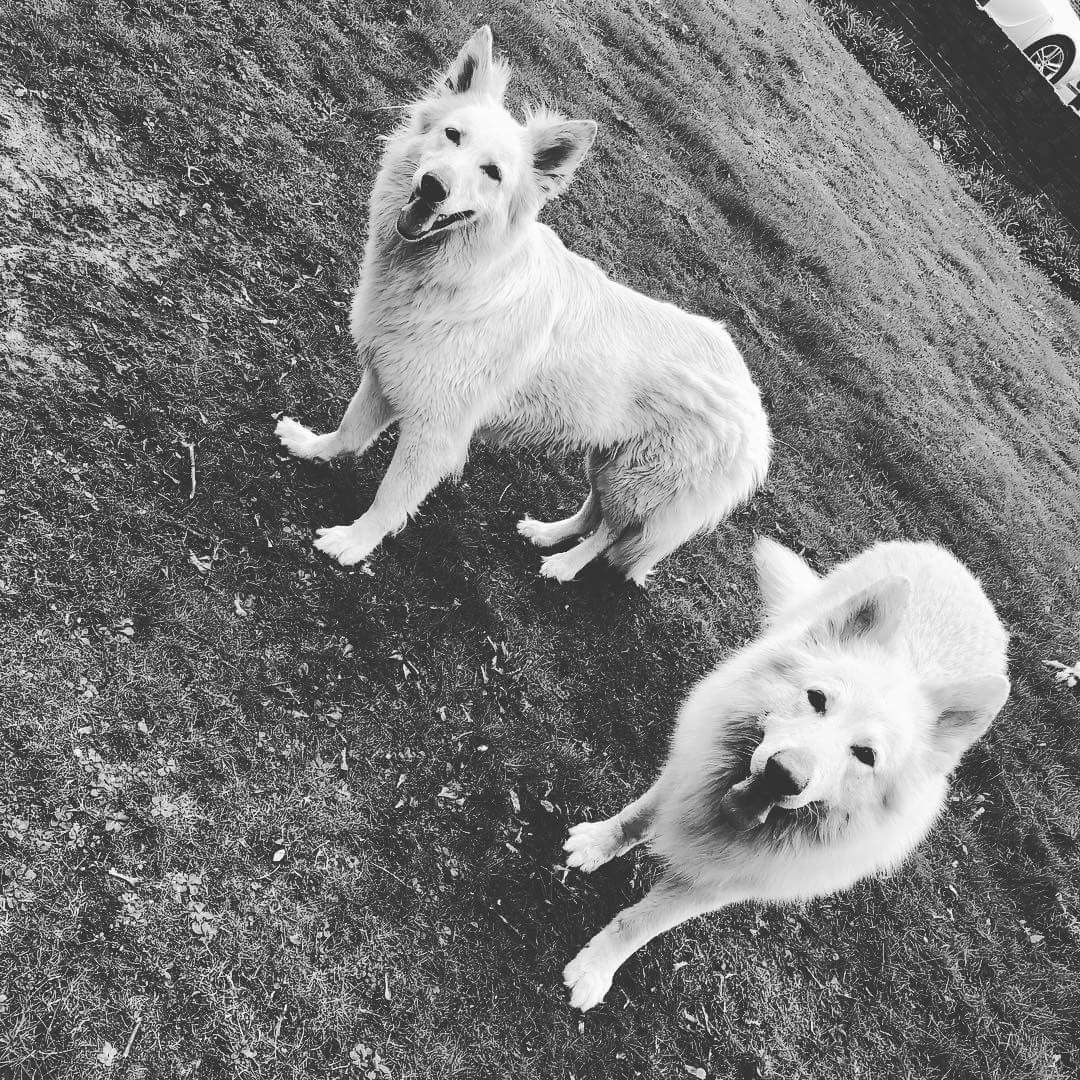Bailey & Coral - Co Durham